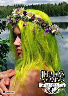 Herman 's Amazing - Lemon Daisy